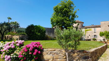 Les roses du château Barbeyrolles à Gassin - https://gassin.eu