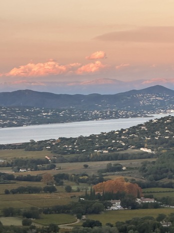 Vue