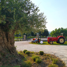 Domaine du Bourrian à Gassin https://gassin.eu