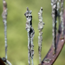 L'arbre de vie