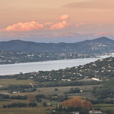 Vue