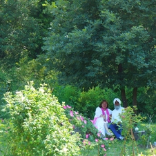 Ambiance romantique - Le Jardin de Gassin - gassin.eu