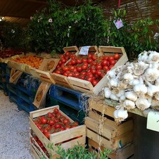 Entrée du magasin dans la forêt