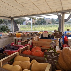 Stand légumes