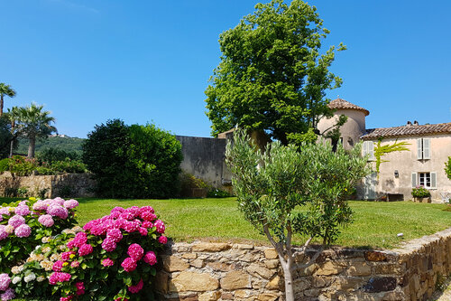 Les roses du château Barbeyrolles à Gassin - https://gassin.eu