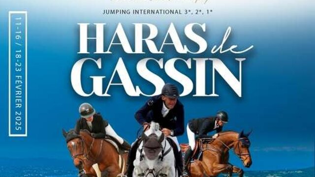 Concours de sauts international