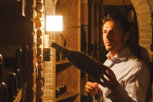 Sommelier dans la cave Da Vini Code à Saint-Tropez, presqu'île de Gassin