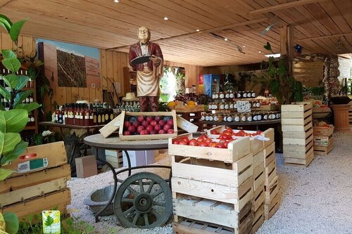 Magasin dans la forêt