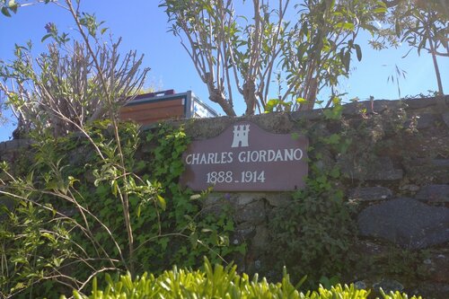 Plaque