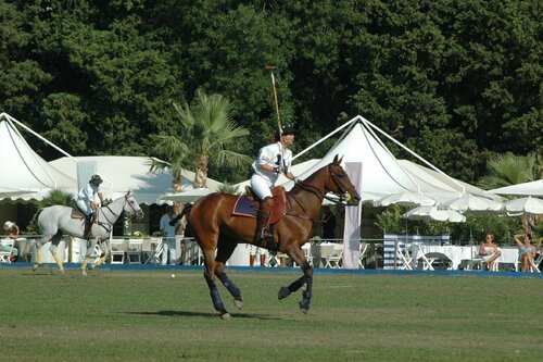 Womens polo series