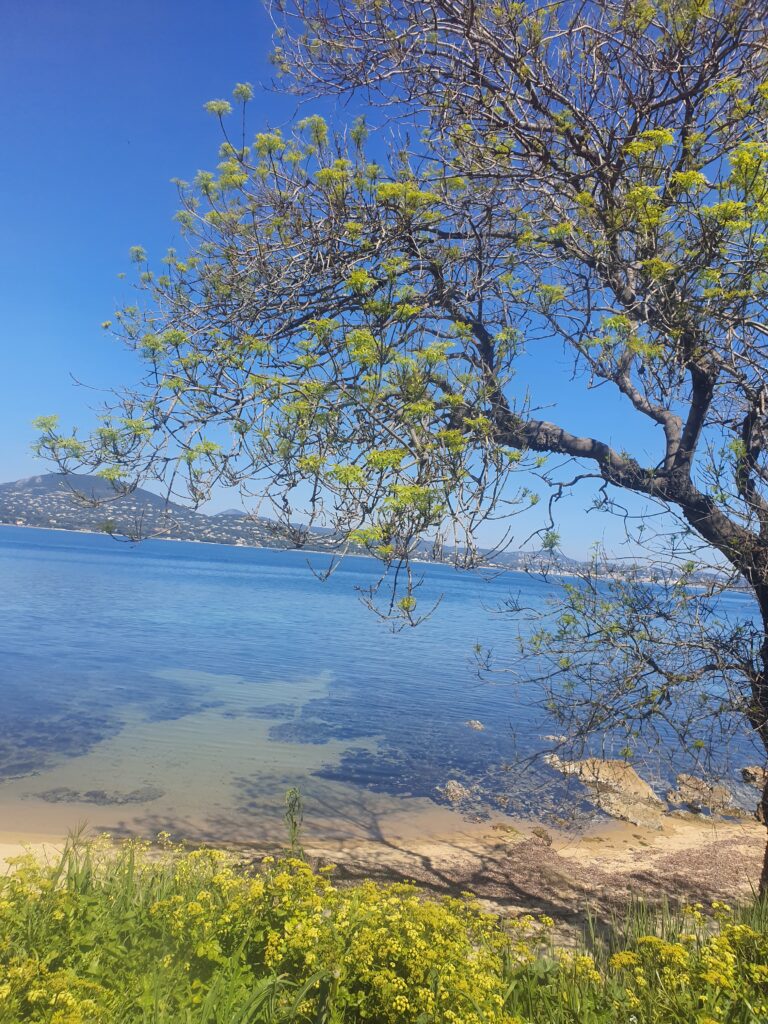 Plage du Treizain